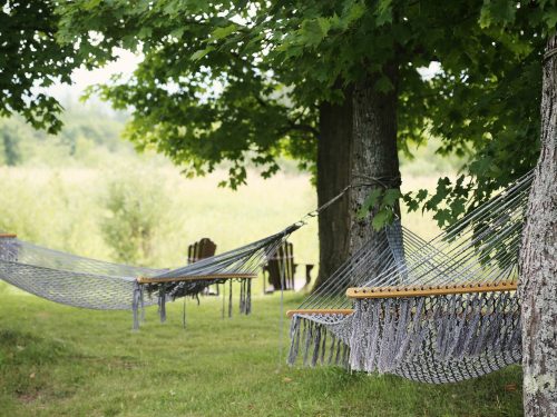 Découverte de la Respirologie (2h)